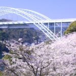 10 Best Sakura (Cherry Blossoms) Spots From Sasebo| 佐世保から行く花見スポット10選【長崎・佐賀】